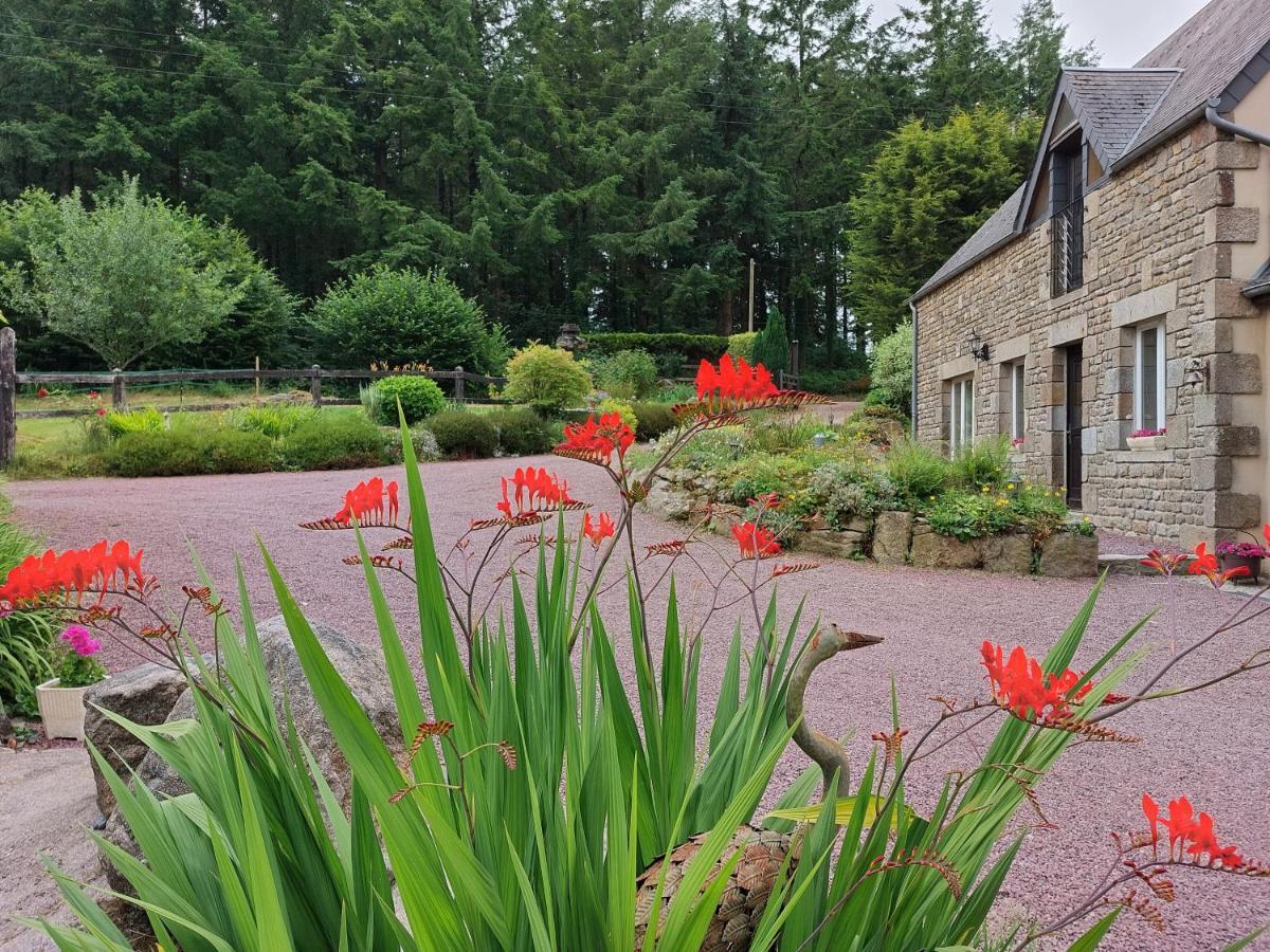 Le Petit Bois Normand - Chambre D'Hote Bed & Breakfast Champ-du-Boult Екстериор снимка